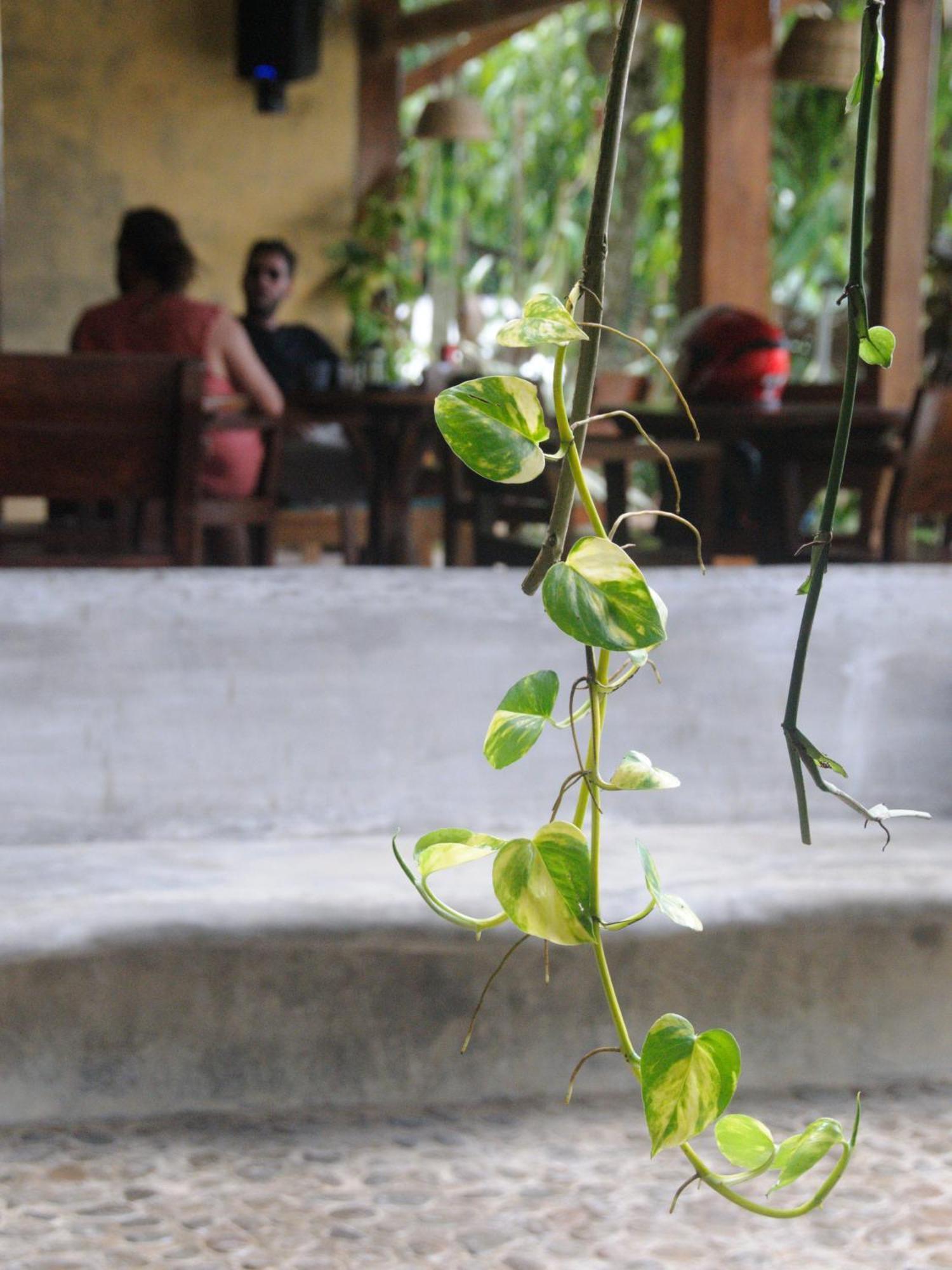 Happiness Boutique Resort El Nido Exterior foto
